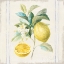 Picture of FLOURSACK LEMONS IV SQ NAVY