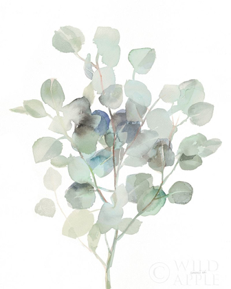 Picture of EUCALYPTUS III COOL