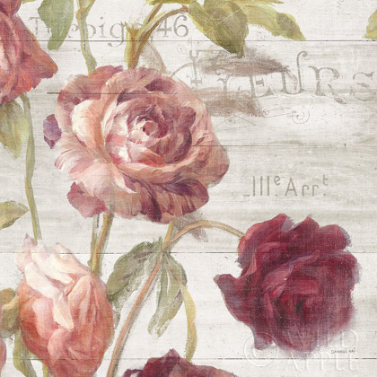 Picture of FRENCH ROSES IV