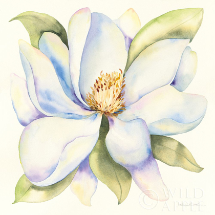 Picture of MAGNOLIA