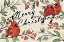 Picture of CHRISTMAS LOVEBIRDS VIII