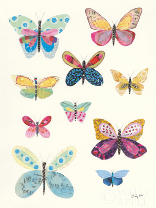 Picture of BUTTERFLY CHARTS I