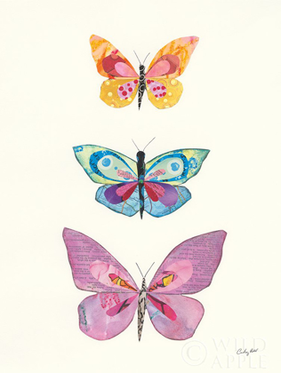 Picture of BUTTERFLY CHARTS III