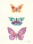 Picture of BUTTERFLY CHARTS III