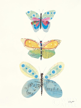 Picture of BUTTERFLY CHARTS IV