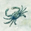 Picture of INDIGO SEA LIFE II