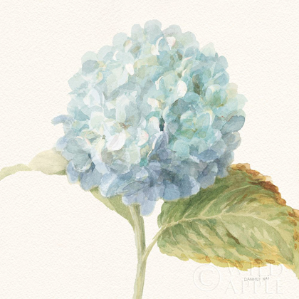 Picture of FLOURSACK FLORALS V - BLUE HYDRANGEA CROP