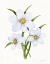 Picture of EASTER BLESSING FLOWERS I