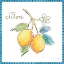 Picture of MEDITERRANEAN BREEZE XIII