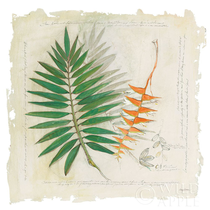 Picture of BOTANICAL STUDY II LIGHT