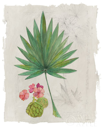Picture of BOTANICAL JOURNAL II LIGHT