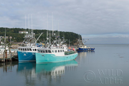 Picture of BAY OF FUNDY I