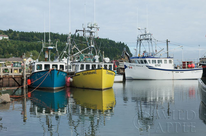 Picture of BAY OF FUNDY II