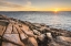 Picture of ACADIA SUNRISE