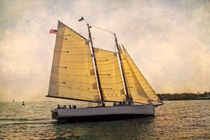 Picture of MORNING SAIL