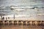 Picture of A DAY AT THE BEACH