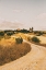 Picture of STRADA BIANCA II