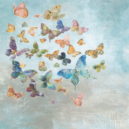Picture of BEAUTIFUL BUTTERFLIES V3 SQUARE