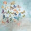 Picture of BEAUTIFUL BUTTERFLIES V3 SQUARE