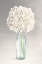 Picture of TRANQUIL BLOSSOMS II