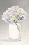 Picture of TRANQUIL BLOSSOMS III