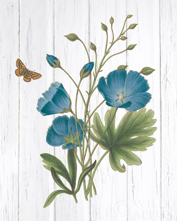 Picture of BOTANICAL BOUQUET ON WOOD III