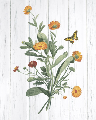 Picture of BOTANICAL BOUQUET ON WOOD IV