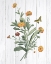 Picture of BOTANICAL BOUQUET ON WOOD IV