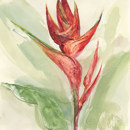 Picture of EXOTIC FLOWER IV