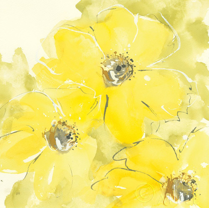 Picture of SUNSHINE COSMOS I