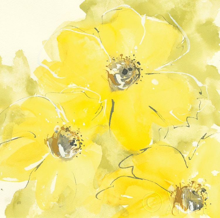 Picture of SUNSHINE COSMOS I