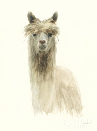 Picture of CLASSIC LLAMAS I