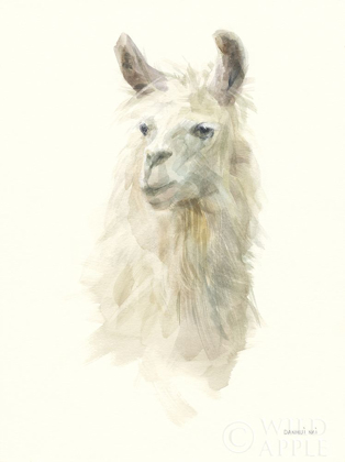 Picture of CLASSIC LLAMAS II