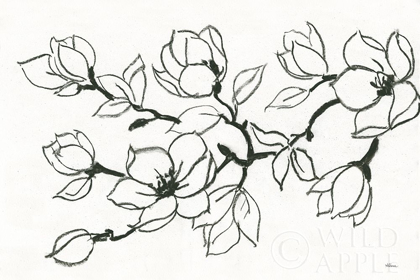 Picture of FLOWER DRAWING