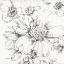 Picture of SUMMER BLOOM III BW