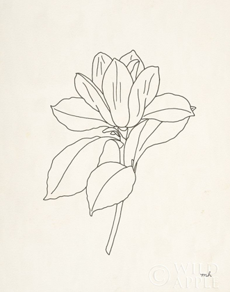 Picture of MAGNOLIA LINE DRAWING