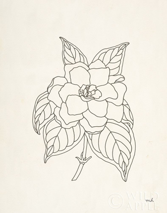 Picture of GARDENIA LINE DRAWING