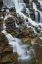 Picture of FALLS ON MCDONALD CREEK COLOR