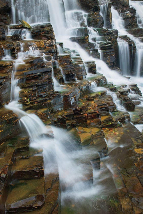 Picture of FALLS ON MCDONALD CREEK COLOR