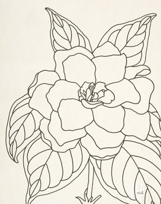 Picture of GARDENIA LINE DRAWING CROP