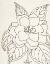 Picture of GARDENIA LINE DRAWING CROP