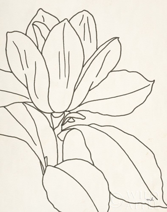 Picture of MAGNOLIA LINE DRAWING V2 CROP