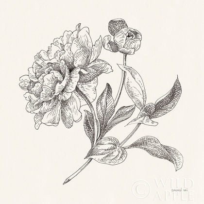 Picture of FLOWER SKETCHES I