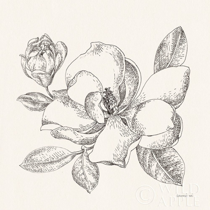 Picture of FLOWER SKETCHES II