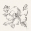 Picture of FLOWER SKETCHES II