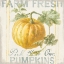 Picture of FLOURSACK AUTUMN V