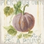 Picture of FLOURSACK AUTUMN VII