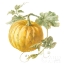 Picture of FLOURSACK AUTUMN V ON WHITE