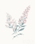 Picture of FLOWERS ON WHITE I CONTEMPORARY BRIGHT