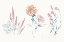 Picture of FLOWERS ON WHITE VIII CONTEMPORARY BRIGHT